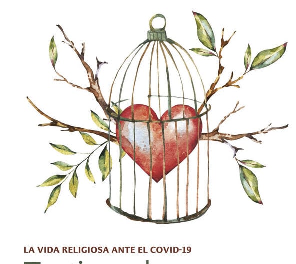 Portada somosCONFER 20