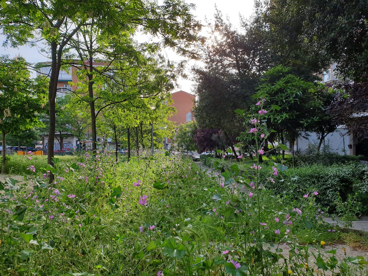 WhatsApp Image 2020 05 02 At 19.35.12