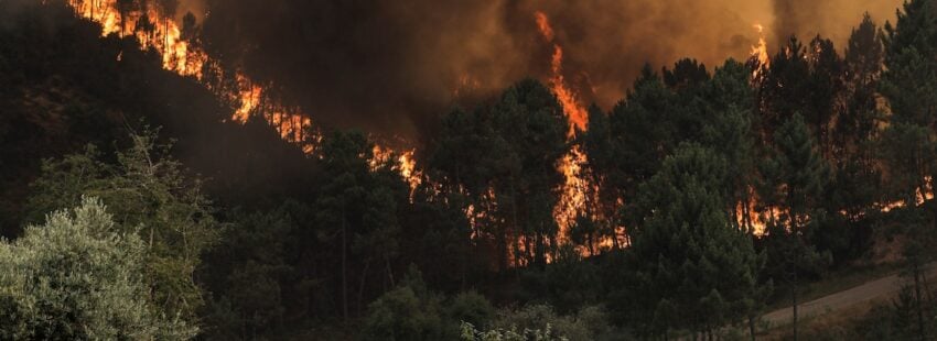 La Iglesia en Portugal, preocupada por los incendios