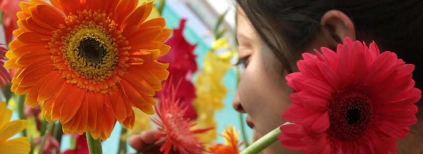 Las 5 visiones sobre feminismo y sociedad de líderes católicas de América Latina y el mundo