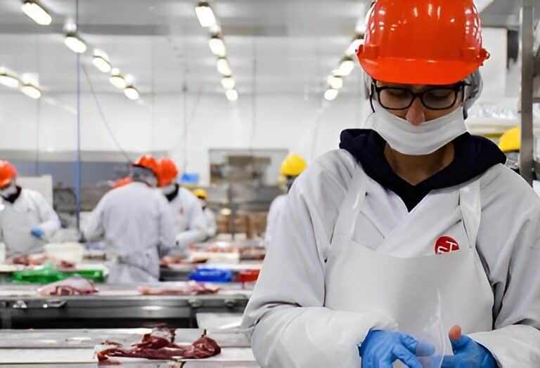 La Doctrina Social de la Iglesia hecha fábrica: un empresario chileno convierte a sus trabajadores