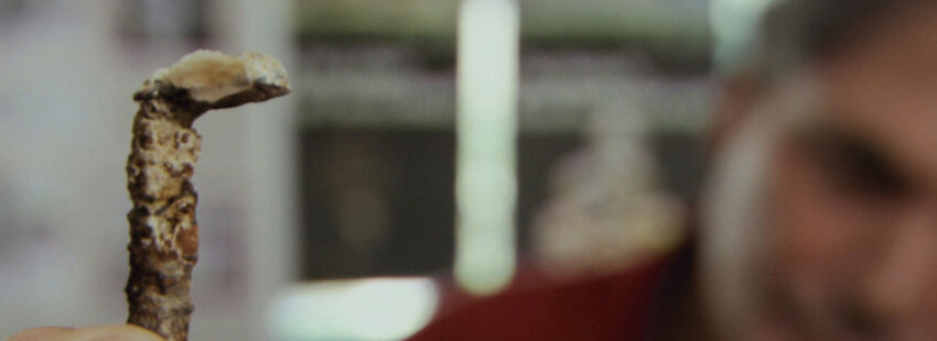 ¡Por los clavos de Cristo!