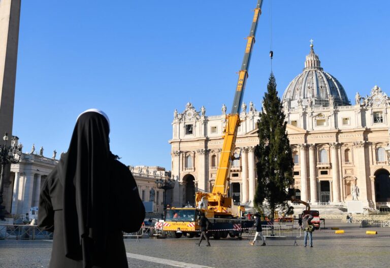 El Vaticano ya cuenta con un árbol de Navidad Laudato si’