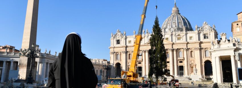 El Vaticano ya cuenta con un árbol de Navidad Laudato si’