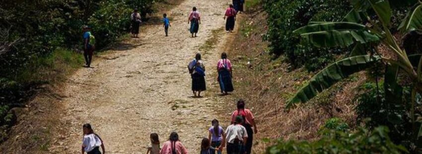 Indigenas. Chiapas.