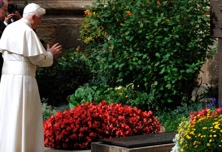 Benedicto XVI (y no Francisco) defendió que un Papa debe ocuparse de la ecología