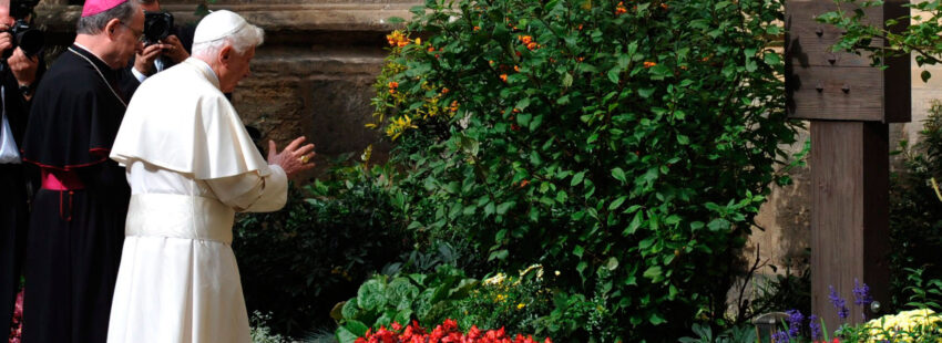 Benedicto XVI (y no Francisco) defendió que un Papa debe ocuparse de la ecología