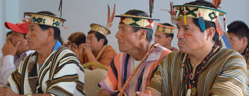 Cáritas de Perú capacita a más 900 indígenas como custodios de la Selva amazónica