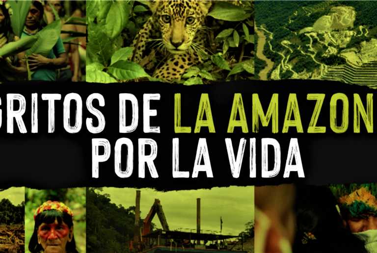 La REPAM y organizaciones indígenas trazan un plan para salvar la Amazonía