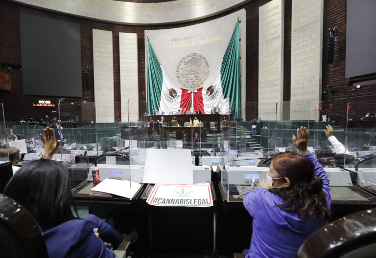 Cámara de Diputados México cannabis