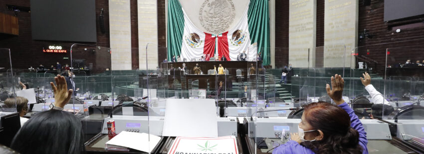 Cámara de Diputados México cannabis
