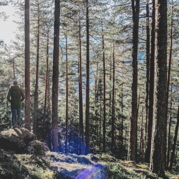 persona en bosque