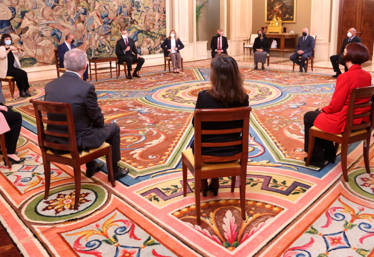 Cáritas, junto a las entidades del Tercer Sector, en una audiencia con el Rey Felipe VI en Zarzuela
