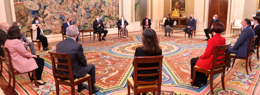 Cáritas, junto a las entidades del Tercer Sector, en una audiencia con el Rey Felipe VI en Zarzuela