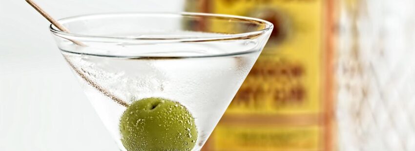 Los obispos ingleses apuestan por la ginebra para aplicar Laudato si’