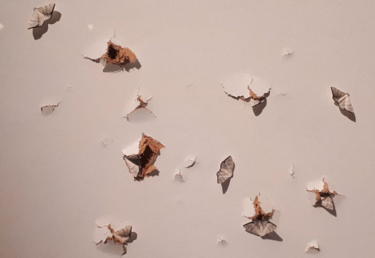 Exposición Vulnerables O_Lumen