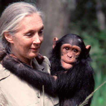 El abrazo de la fe y la ciencia