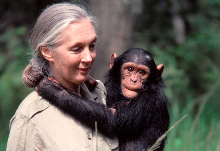 El abrazo de la fe y la ciencia