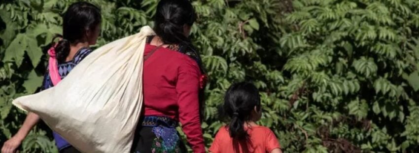 desplazados Pantelhó