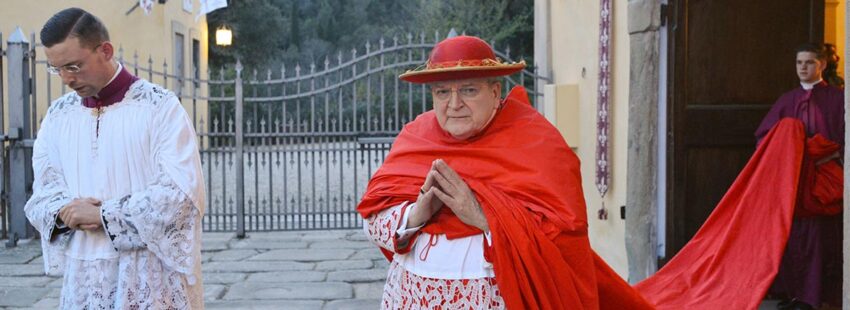 El cardenal Burke reza cada día para que no se celebre el Sínodo