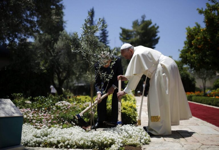 Papa árbol Israel