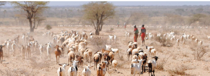 Pastores samburu de Kenia