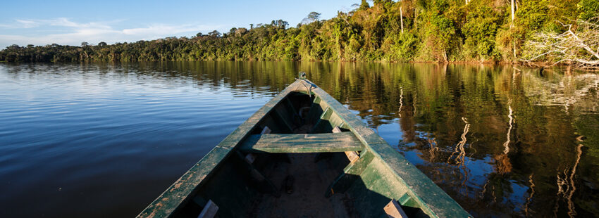 Organizaciones eclesiales amazónicas piden a la COP 26 medidas urgentes