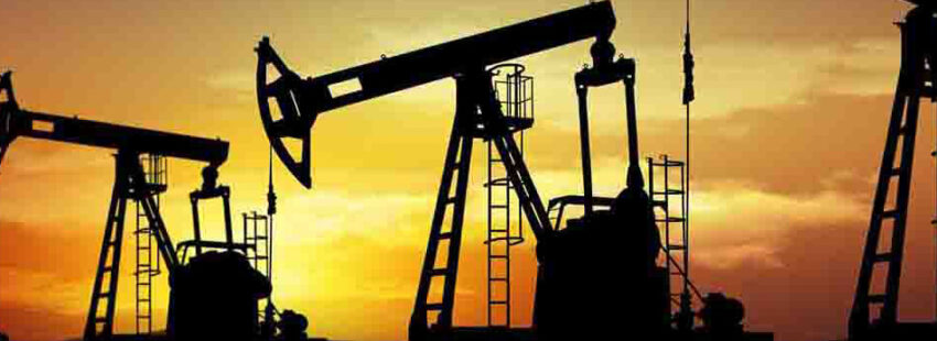 La Iglesia marplatense pide asumir responsablemente el cuidado de la Casa común