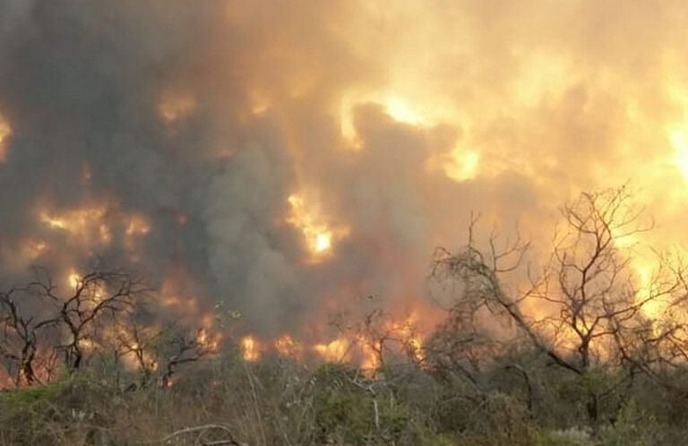 La Iglesia paraguaya pidió compromiso con el medio ambiente