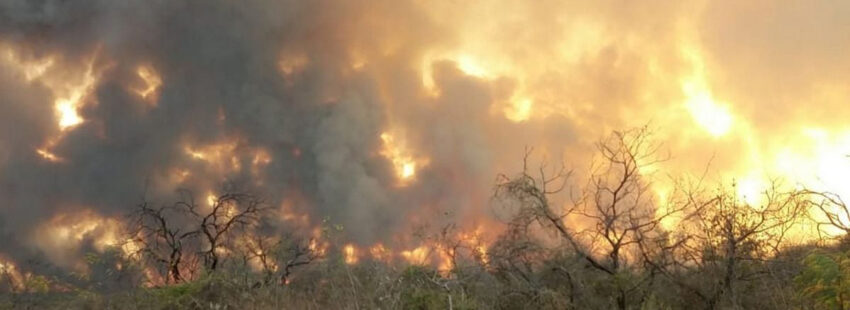 La Iglesia paraguaya pidió compromiso con el medio ambiente