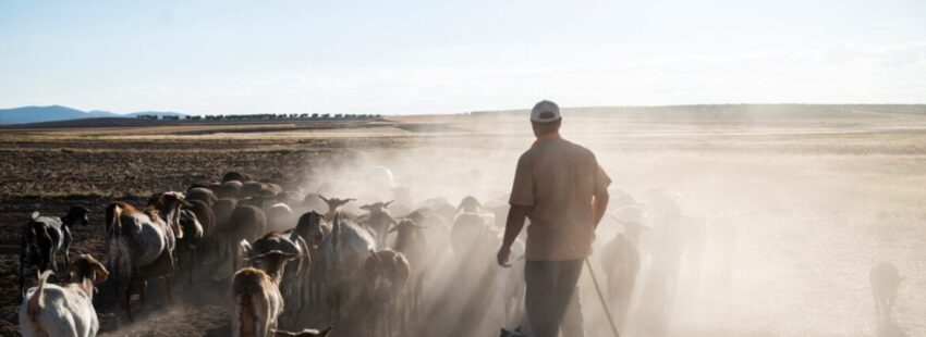 El arzobispo de Mérida-Badajoz impulsa las rogativas frente a la sequía