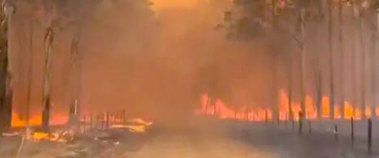 La Colecta Más por Menos colabora con los afectados por los incendios de Corrientes