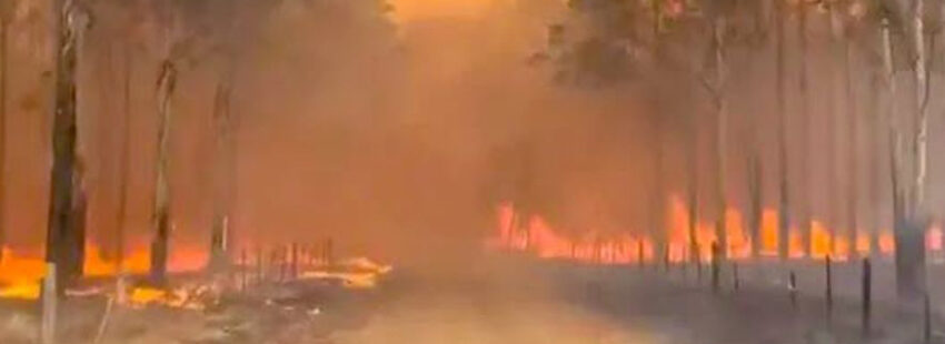 La Colecta Más por Menos colabora con los afectados por los incendios de Corrientes