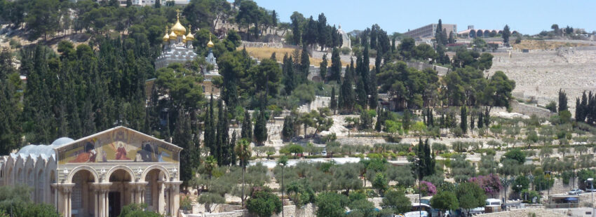 Monte de los Olivos (Jerusalén)
