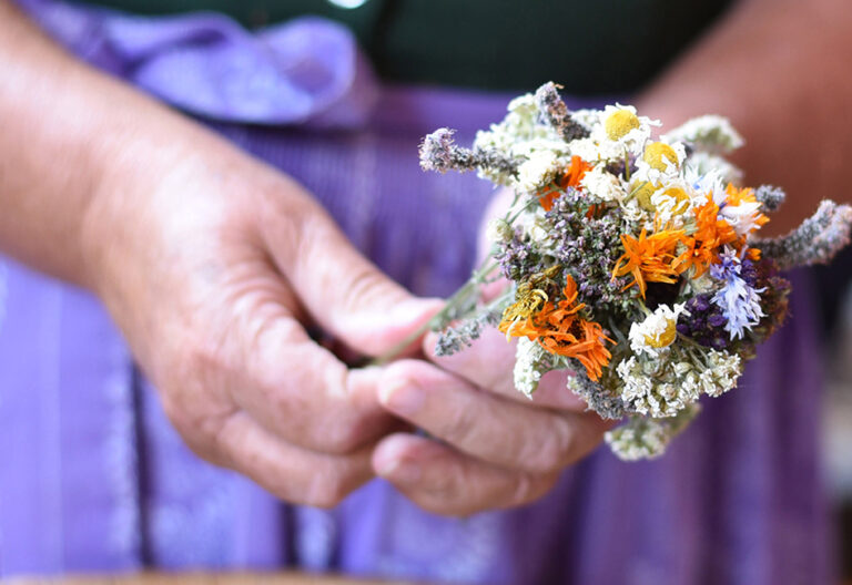 La CLAR envía un emotivo mensaje a las mujeres en su día