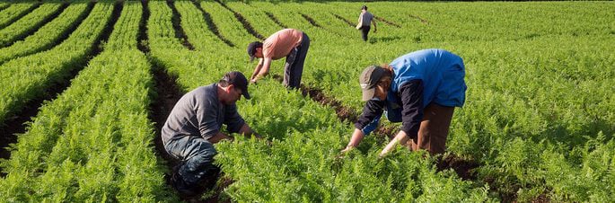 Argentina: Justicia y Paz destaca la agricultura familiar, campesina e indígena