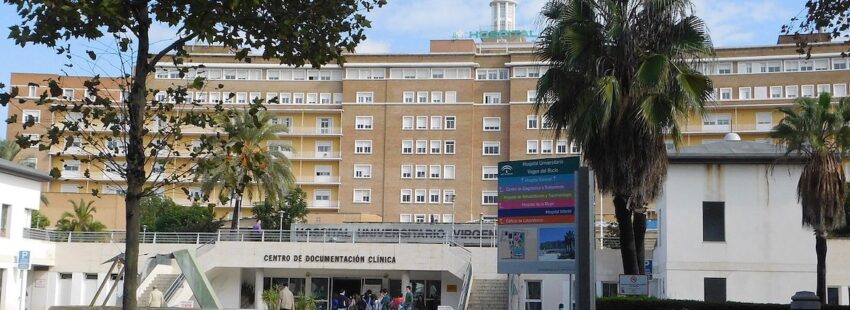 El paso que procesiona entre las plantas del Hospital Virgen del Rocío