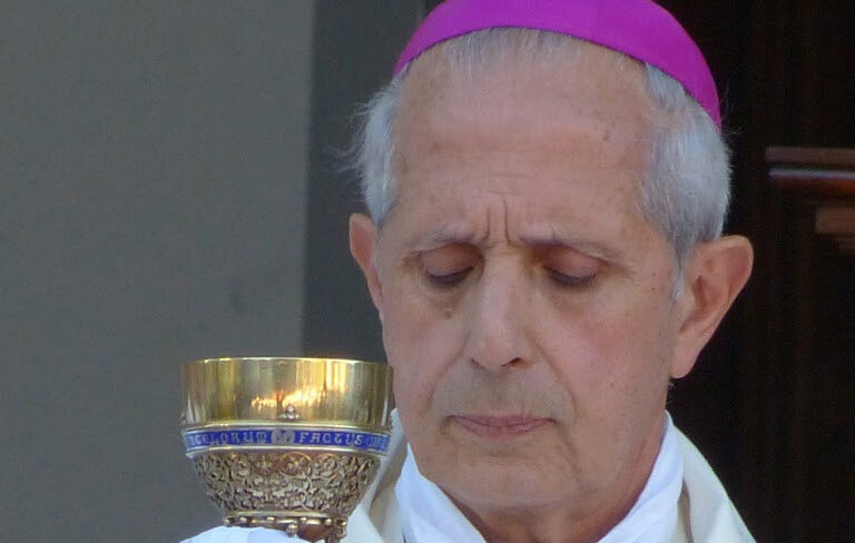 El papa Francisco recibió los frutos del Sínodo de la arquidiócesis de Buenos Aires