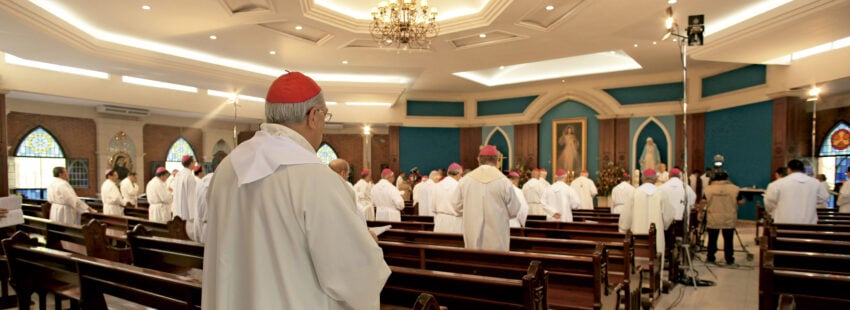 Un nuevo horizonte pastoral para la restructuración y la renovación del CELAM