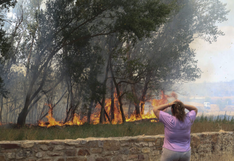 Incendio forestal registrado en la comarca de Tábara (Zamora)