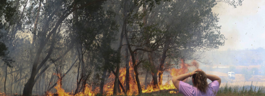 Incendio forestal registrado en la comarca de Tábara (Zamora)