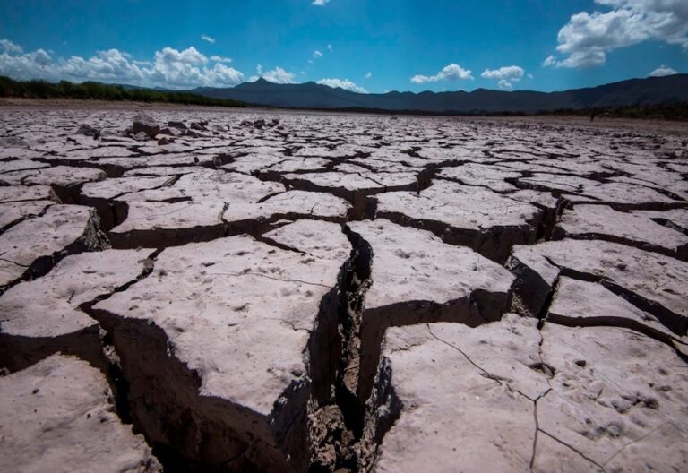sequía Coahuila