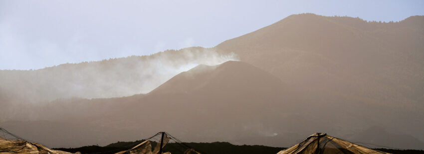 La Palma, año I: un volcán de caridad que sigue latiendo