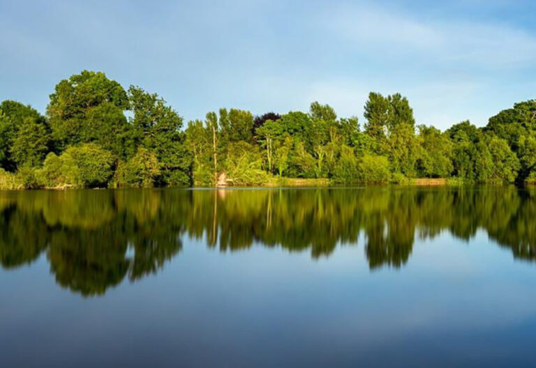 Un clamor desde el corazón de la Amazonía a la COP27