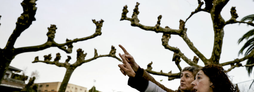 ¿La auditoría antiabusos de la Iglesia llegará a tiempo?