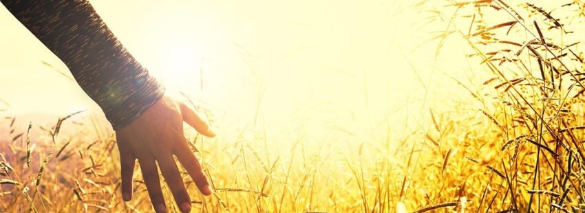 Las 9 propuestas del papa Francisco para la Jornada Mundial de la Paz