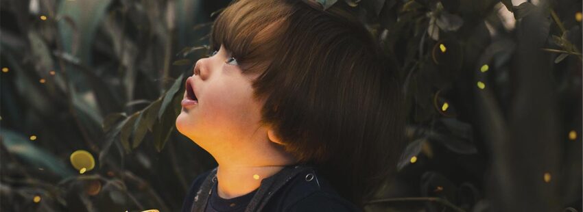 Cinco claves para vivir la Jornada de la Sagrada Familia