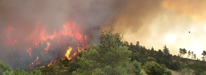 Diócesis chilenas en acción ante graves incendios