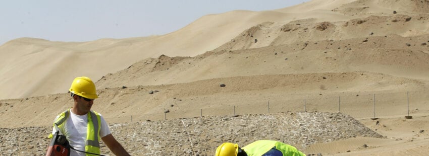 El Papa denuncia que “la dignidad humana peligra cuando el trabajo se organiza sin piedad”