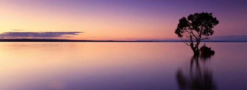 Manos Unidas: 2.000 millones de personas sin agua